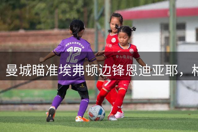 曼城瞄准埃弗顿边锋恩迪亚耶，格拉利什或回归母队